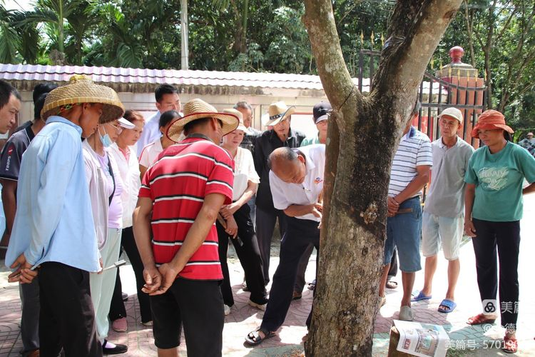 1699766724692022228.png 1699766724692022228.png