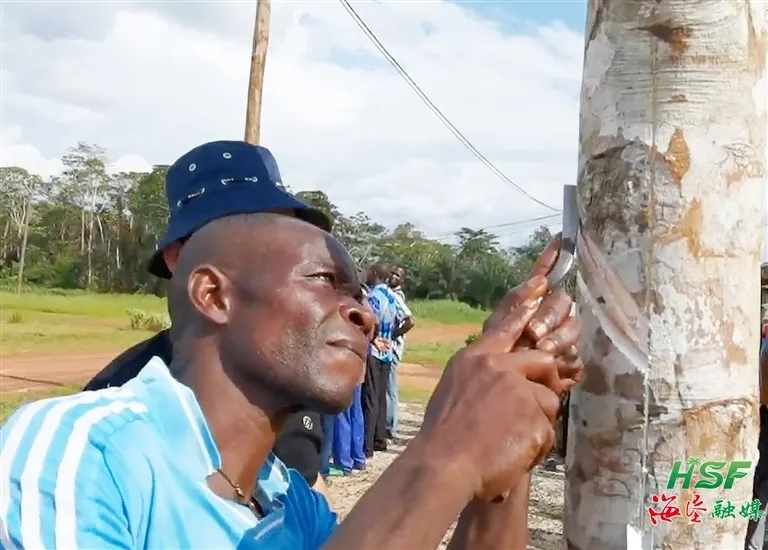 1717558096510022909.jpg 1717558096510022909.jpg