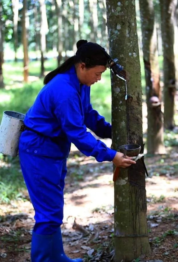 1729481686531041796.jpg 1729481686531041796.jpg