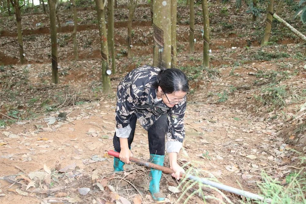 1747637831655076683.jpg 1747637831655076683.jpg