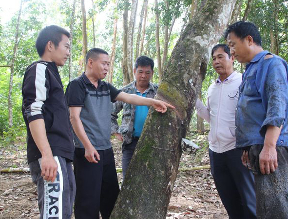 1704243965709029838.jpg 微信图片_20240103090420.jpg