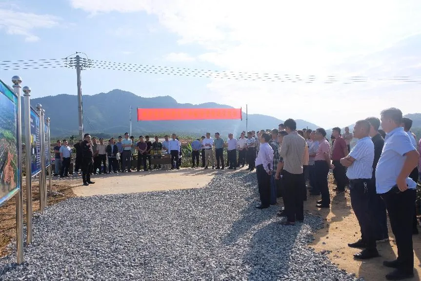 1733709918974031168.jpg 1733709918974031168.jpg