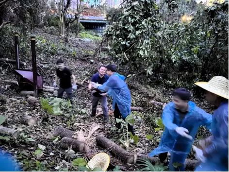 1736730637673093770.jpg 1736730637673093770.jpg