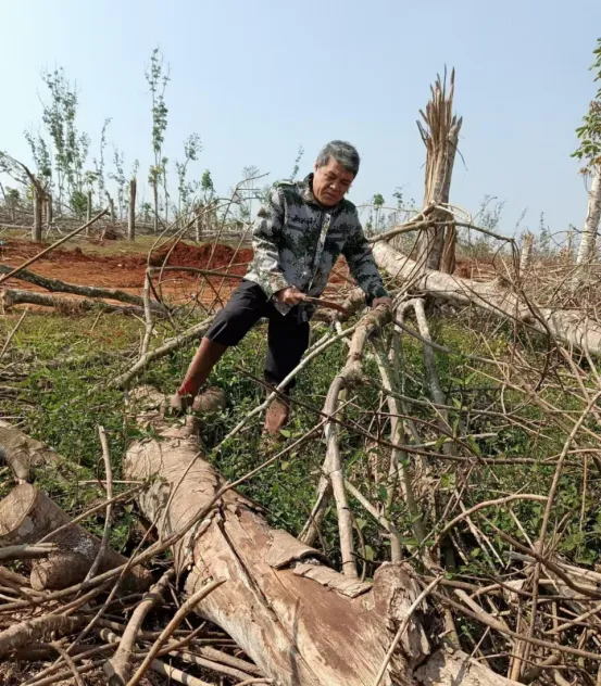 1736730752653098404.jpg 1736730752653098404.jpg