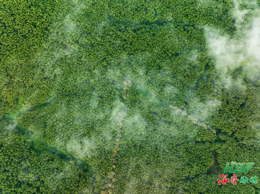 1755879730407097806.jpg 1755879730407097806.jpg